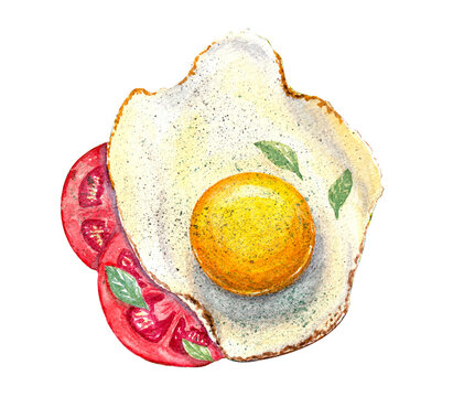 Fried egg with basil leaveson the top and slices of tomato isolated on white background, top view. Watercolor hand painted food illustration. Stay at home and cook. Healthy breakfast.