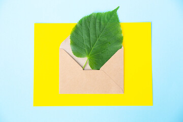 Green sheet of linden in an envelope from kraft paper on a sky blue and yellow background. Eco-friendly, recycled. Caring for nature. Environmental protection. Mail message. News from afar.Empty space