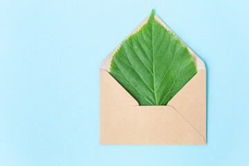 Green sheet of linden in an envelope from kraft paper on a sky blue background. Eco-friendly, recycled. Caring for nature. Mail message to send and receive. News from afar. Place for text, empty space