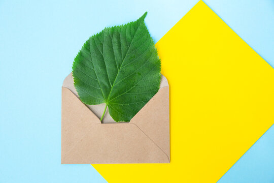 Green sheet of linden in an envelope from kraft paper on a sky blue and yellow background. Eco-friendly, recycled. Caring for nature. Environmental protection. Mail message. News from afar.Empty space
