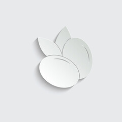 paper  olive icon black vector sign