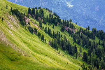 Hills and forests above Val di Fassa, Dolomites mountains, Italy - 357295129