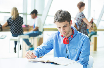 University student reading in cafe