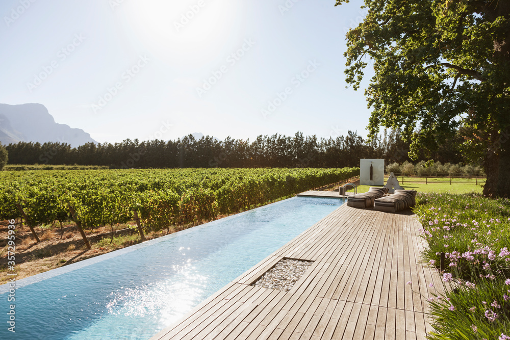 Wall mural Luxury lap pool among garden and vineyard