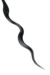 Black hair on white background, isolated. Thin thread