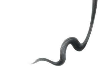 Black hair on white background, isolated. Thin thread