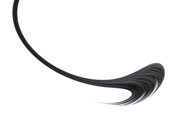 Black hair isolated on white background. Long ponytail