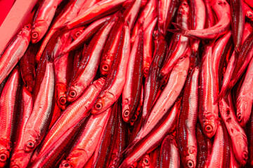 Fresh fish from dthe italian market. 