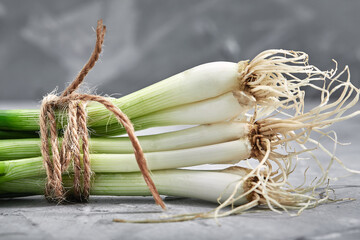 Fresh green onions close-up, Gray background, Organic products, layout for a healthy diet and organic restaurant cooking advertisement