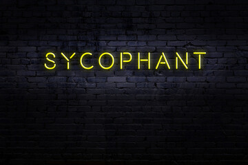 Night view of neon sign on brick wall with inscription sycophant