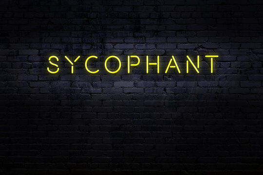 Night view of neon sign on brick wall with inscription sycophant
