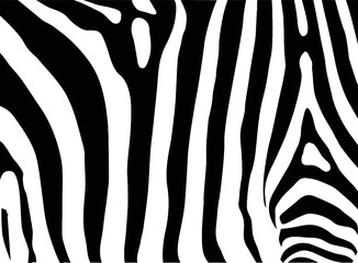 zebra skin texture print pattern. © Alemo