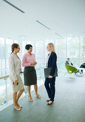 Fototapeta premium Businesswomen talking in office building