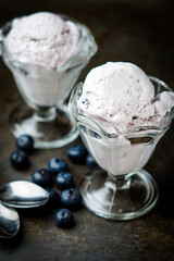 Blueberry ice cream with fresh blueberries