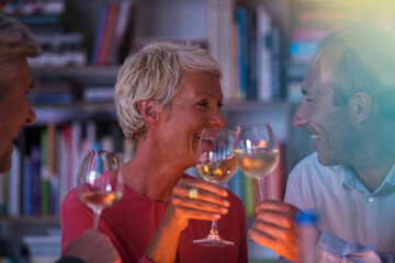 Older friends toasting each other with white wine