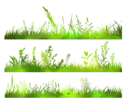 Set of green scenic grass. Abstract background with green silhouettes of meadow wild herbs and flowers. Wildflowers. Floral background. Wild grass. Vector illustration.