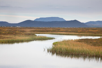 Fototapeta na wymiar Calm lake and mountain landscape, Lake Myvatn, Iceland