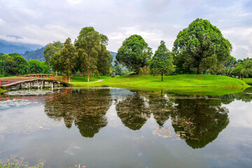 selective focus and partially blur of Taiping Lake Gardens which is located in Malaysia and one quarter of the country's tourist attractions. Reflection in water.