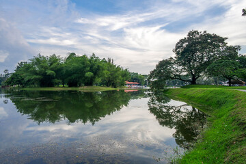selective focus and partially blur of Taiping Lake Gardens which is located in Malaysia and one quarter of the country's tourist attractions. Reflection in water.