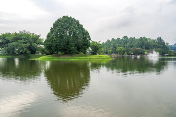 selective focus and partially blur of Taiping Lake Gardens which is located in Malaysia and one quarter of the country's tourist attractions. Reflection in water.