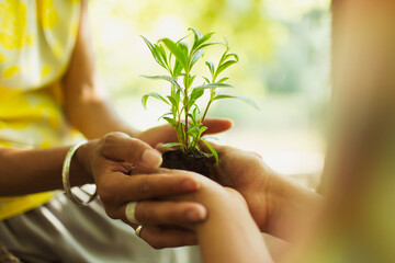 Close up mother and son cupping seedling