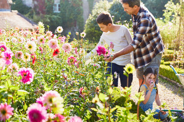 Father and son picking flowers in sunny garden