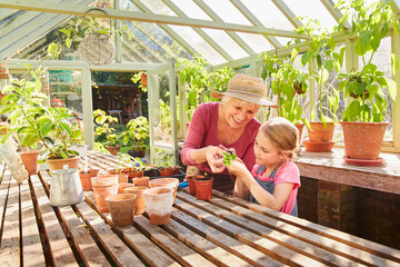 Grandmother and granddaughter potting plants in greenhouse