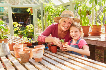 Portrait smiling grandmother granddaughter potting plants in greenhouse - Powered by Adobe