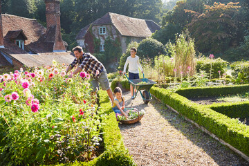 Family gardening in sunny flower garden
