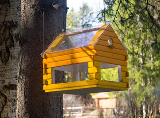 Yellow wooden bird feeder and squirrels hanging on a tree branch