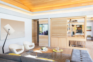 Home showcase living room