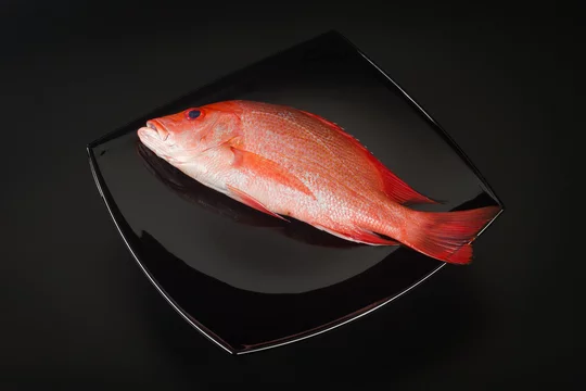 Maya Maya Images Browse 6 Stock Photos Vectors And Video Adobe Stock