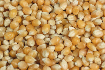 Unrefined corn kernels and beans background