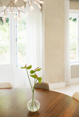 Anthurium bouquet on table in dining room