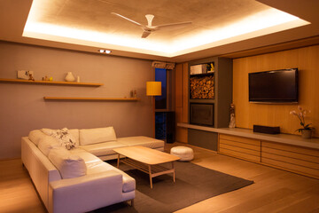 Illuminated tray ceiling over home showcase living room