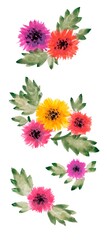Watercolor flowers set
