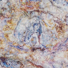 Fototapeta premium FOSSIL WOOD VEINS AND SHADES