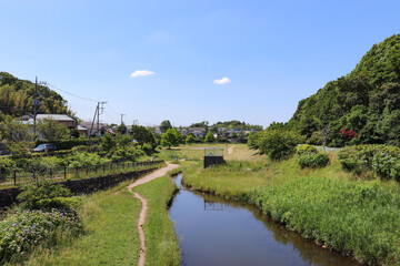 Fototapeta premium 和泉川宮沢遊水地（神奈川県横浜市瀬谷区）