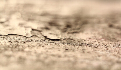 peeling paint on a concrete wall of a building.