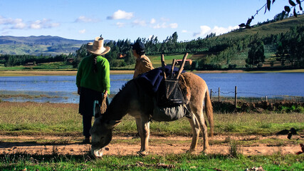 Lago Andino Namora Cajamarca Per&uacute;