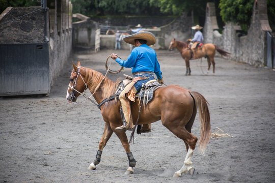 Traditional Rodeo Show in Mexico City