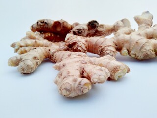 Bitter ginger with white background. Bitter ginger also called Zingiber zerumbet, awapuhi, shampoo ginger, lempuyang and pinecone ginger. Used as food flavoring and appetizers in various cuisines food
