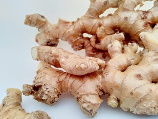 Bitter ginger with white background. Bitter ginger also called Zingiber zerumbet, awapuhi, shampoo ginger, lempuyang and pinecone ginger. Used as food flavoring and appetizers in various cuisines food