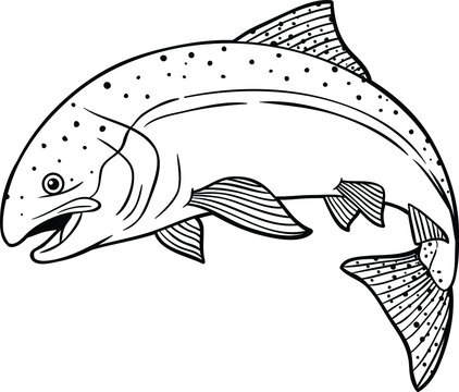 recommend clip art: Vector Cartoon Salmon Line Art