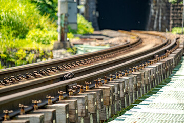【人気のモグラ駅】群馬県 土合駅周辺の景色