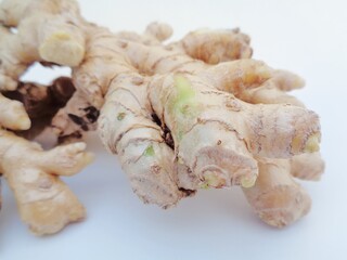 Bitter ginger with white background. Bitter ginger also called Zingiber zerumbet, awapuhi, shampoo ginger, lempuyang and pinecone ginger. Used as food flavoring and appetizers in various cuisines food
