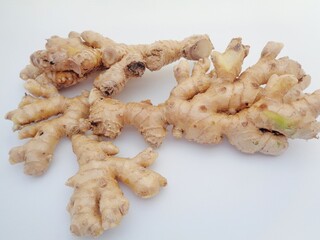 Bitter ginger with white background. Bitter ginger also called Zingiber zerumbet, awapuhi, shampoo ginger, lempuyang and pinecone ginger. Used as food flavoring and appetizers in various cuisines food