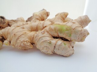 Bitter ginger with white background. Bitter ginger also called Zingiber zerumbet, awapuhi, shampoo ginger, lempuyang and pinecone ginger. Used as food flavoring and appetizers in various cuisines food