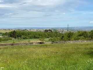Fototapeta na wymiar Landscape with flowery meadow and fields, looking toward, Allerton, Bradford, UK