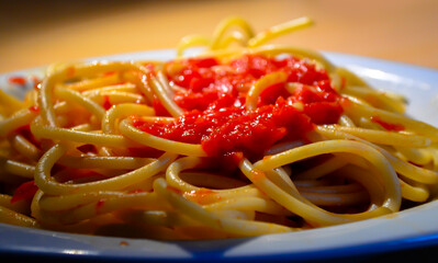 A plate full of bucatini pasta, with some tomato sauce over it